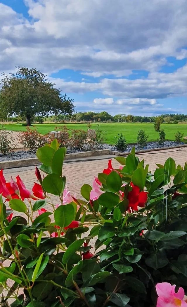 Vue sur le parc et la prairie depuis la terrasse fleurie